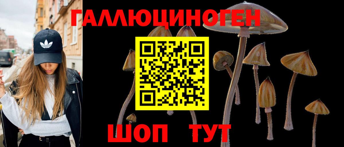 Воткинск  Псилоцибиновые грибы Psilocybe  Вход с VPN 
